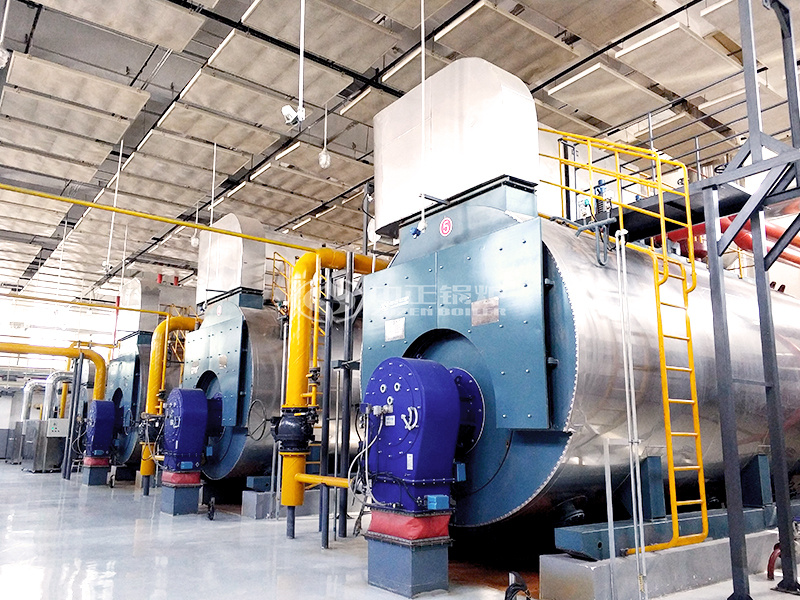 14MW WNS系列冷凝式燃氣鍋爐項目